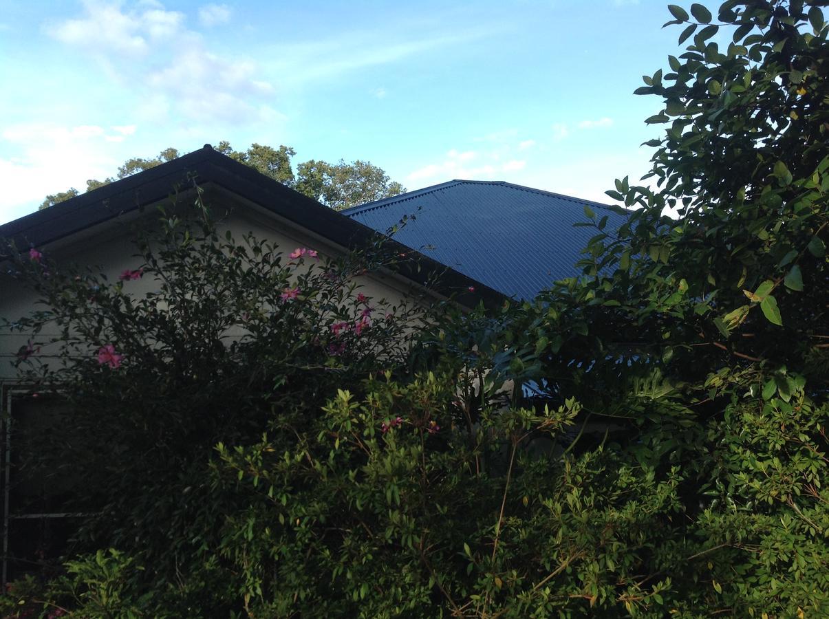 The Laurels B&B Kangaroo Valley Eksteriør billede